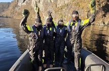 Mostraumen fjord safari tour in a premium RIB boat