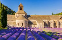 Sault lavender fields full-day guided tour from Avignon