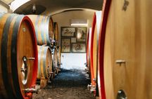 Vesuvius vineyards tour with wine tasting and local lunch