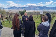 Vesuvius vineyards tour with wine tasting and local lunch