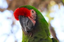 Wild Canyon off-road UTV adventure in Los Cabos