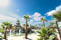 Wild Canyon off-road UTV adventure in Los Cabos