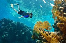 Phi Phi archipelago and Krabi 4 Islands full‑day speedboat tour