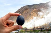 Mount Fuji with Kawaguchiko Ropeway Tour from Tokyo