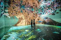 "Frameless" Immersive Art Experience entrance tickets