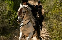 Sunset horseback ride with drinks in Mallorca