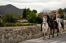 Sunset horseback ride with drinks in Mallorca