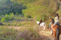Sunset horseback ride with drinks in Mallorca