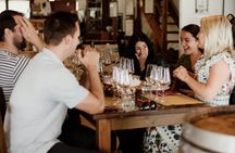 5 or 4 Wines and Food Tasting in Etna Regional Park with Winery Tour
