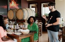 5 or 4 Wines and Food Tasting in Etna Regional Park with Winery Tour