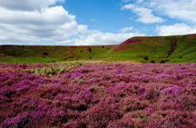 Guided tour through Hutton-le-Hole, Moors and Whitby from York