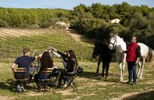 Horseback ride and traditional picnic in Mallorca