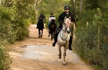 Horseback ride and traditional picnic in Mallorca
