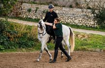 Advanced classical riding lesson with PRE Horses in Mallorca