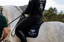 Advanced classical riding lesson with PRE Horses in Mallorca
