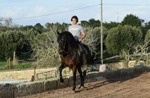 Advanced classical riding lesson with PRE Horses in Mallorca