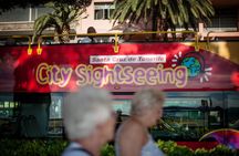 City Sightseeing hop-on hop-off bus tour of Santa Cruz de Tenerife