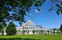 Gothenburg's art and culture walking tour with a local