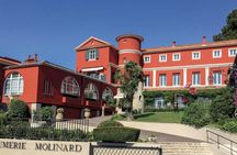 Discovery workshop at Molinard Parfums in Grasse Bastide