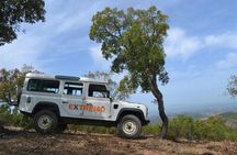 Algarve half-day safari from Albufeira