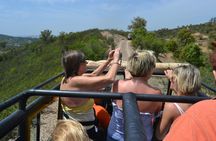 Algarve half-day safari from Albufeira