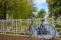 Best intro tour of Rotterdam with a local