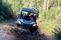 Madeira half-day off-road buggy tour