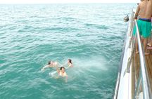 Valencia catamaran tour with paella, swimming and mussel farm