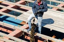 Valencia's coastline catamaran tour with mussels and white wine