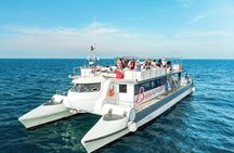 Valencia's coastline catamaran tour with mussels and white wine