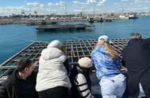 Valencia's coastline catamaran tour with mussels and white wine