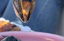 Valencia's coastline catamaran tour with mussels and white wine