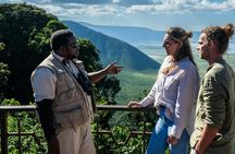 Ngorongoro Crater and Tarangire 3-day private safari from Zanzibar