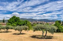 Luberon villages guided tour