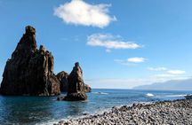 Madeira's North Side express private tour