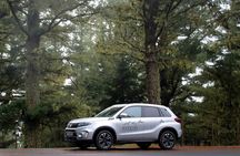 Madeira's North Side express private tour