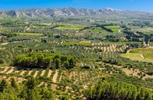 Arles, Saint Rémy and Les Beaux guided tour