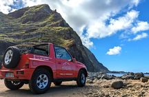 Madeira's North Side express private tour
