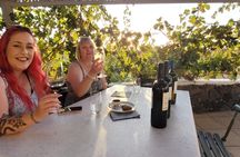 Santorini semi-private day wine tour with two wineries