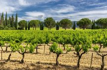 A taste of Provence wine tour