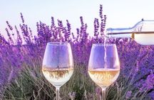 A taste of Provence wine tour