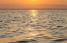 Sunrise dolphin watching excursion in Mallorca