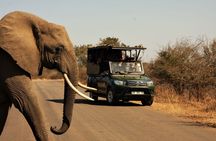 Hluhluwe-iMfolozi Park wildlife safari from Durban