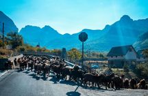 Shkodra and Theth National Park day tour from Durrës