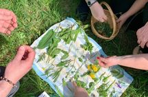 Detmold wild plant foraging guided walk