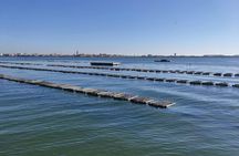 Sustainable Aquaculture Boat Tour in Chioggia's Lagoon