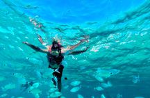 Portitxol Island 5-hour catamaran trip from Denia with lunch