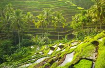 Bali volcano sunrise cafe and morning yoga experience