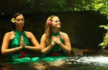 Sunrise yoga, holy bathing and palm reading experience in Bali