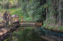 Sunrise yoga, holy bathing and palm reading experience in Bali